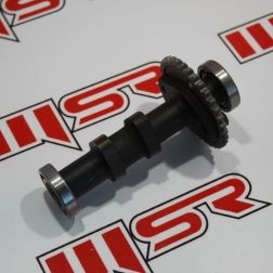 HYOSUNG GT 250 EKSANTRİK 1 EMME ORJİNAL