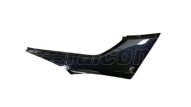 GÖVDE YAN KAPAK SAĞ- FR 250 RACING