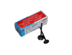 ACTIVA 125 YM(2024) SÜBAP TK ORJ VTC