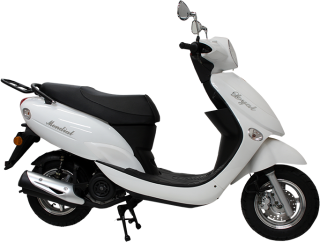 100 LOYAL Yedek Parça