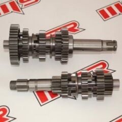 REGAL RAPTOR DD350 / DD250E-9A / MR DESTRO 350 ŞANZUMAN