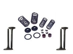 REGAL RAPTOR Daytona 400 Subop Emme Egzoz Yay Set