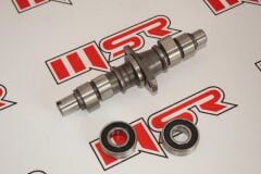 REGAL RAPTOR DD350 / MR DESTRO 350 EKSANTRİK