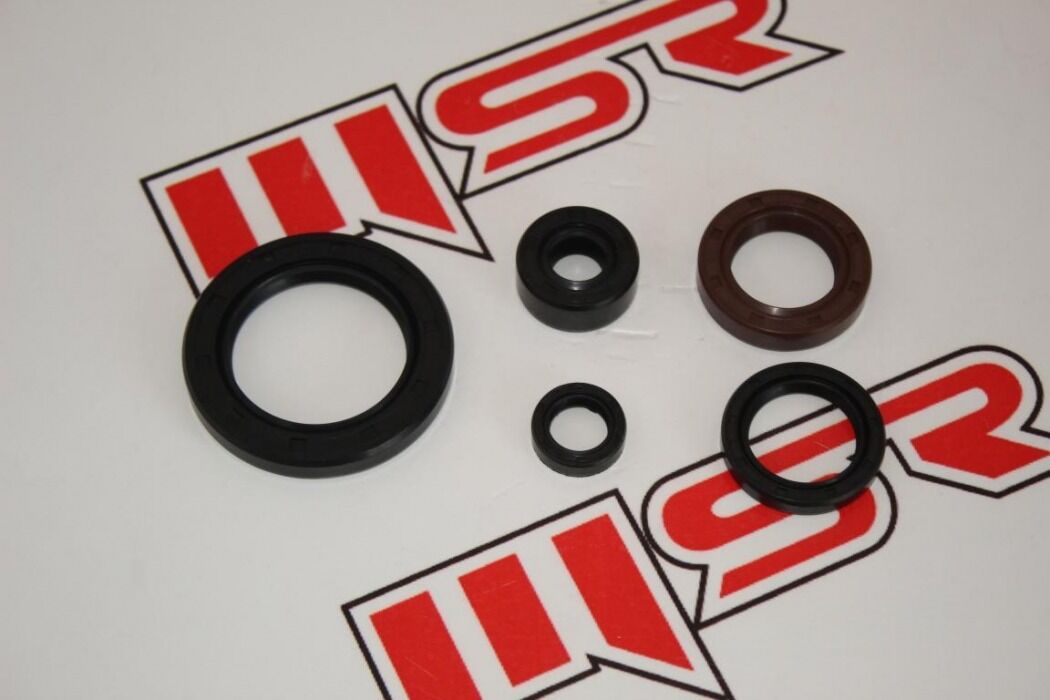 REGAL RAPTOR DD350 / DD250 / MR DESTRO 350 YAĞ KEÇE SETİ