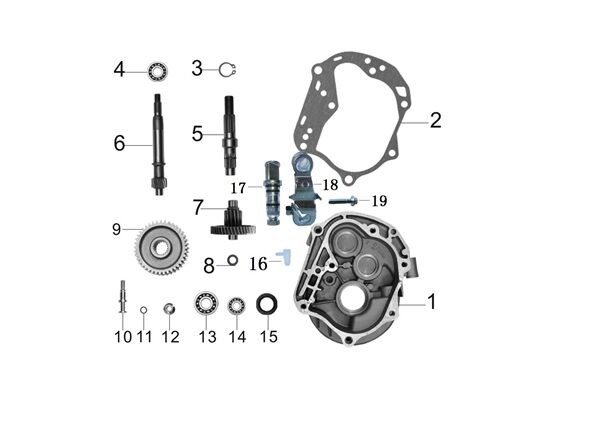 ŞANZIMAN KUTUSU KAPAĞI ( RİSOTTO 50 )
