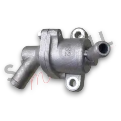 TERMOSTAT (VAMPIRE 125 - X WAY )