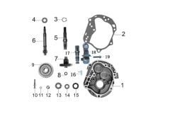 ARKA ŞANZIMAN DİŞLİSİ ( RİSOTTO 50 )