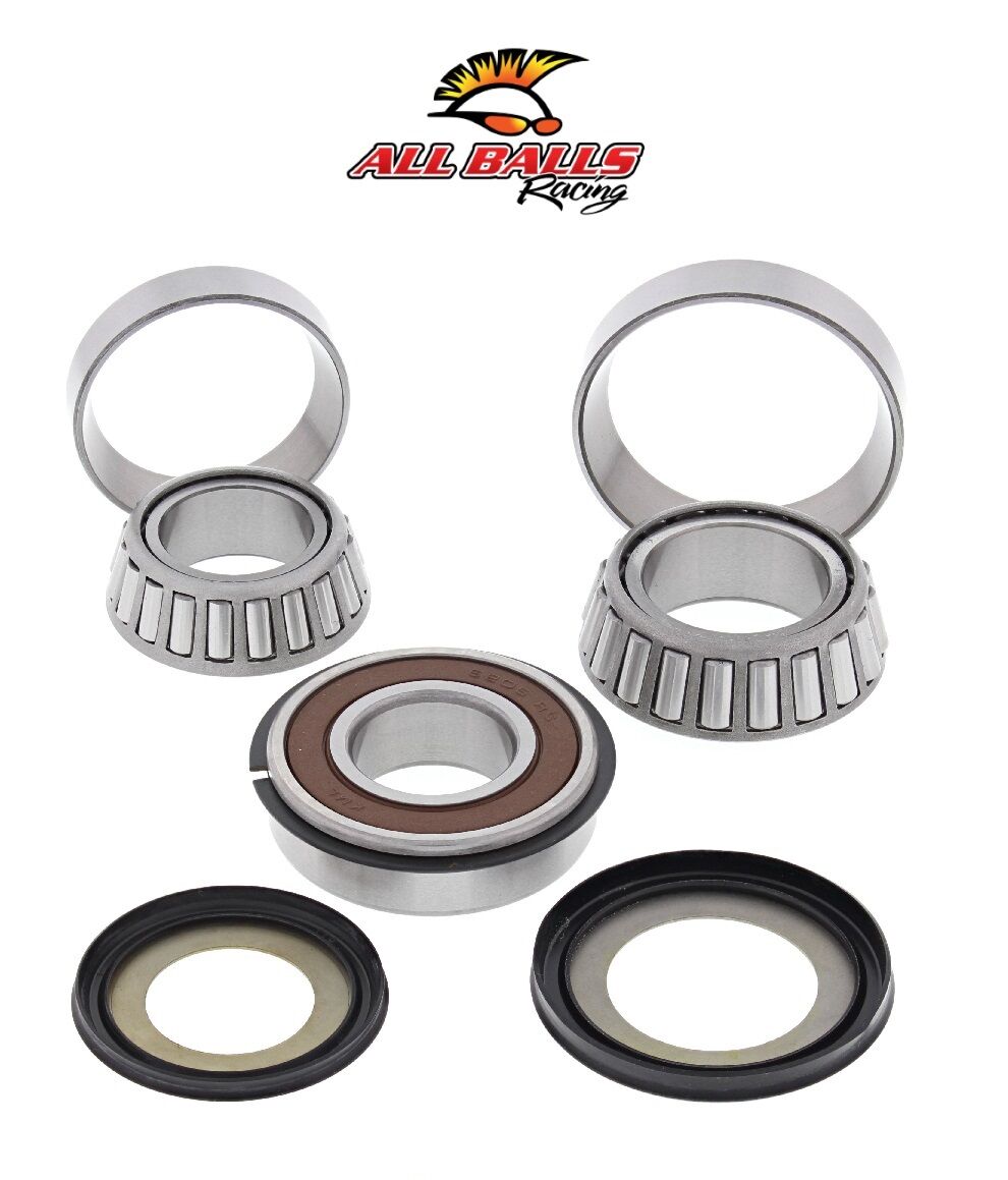 TRIUMPH SPEED TRIPLE / R / S / RS 1050 ABR GİDON RULMAN TAKIMI