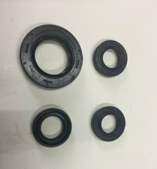 CBF 150 KEÇE TAKIMI OEM