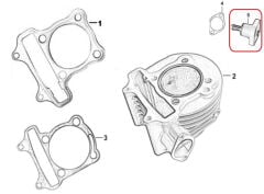 REGAL RAPTOR M210 Tansiyoner
