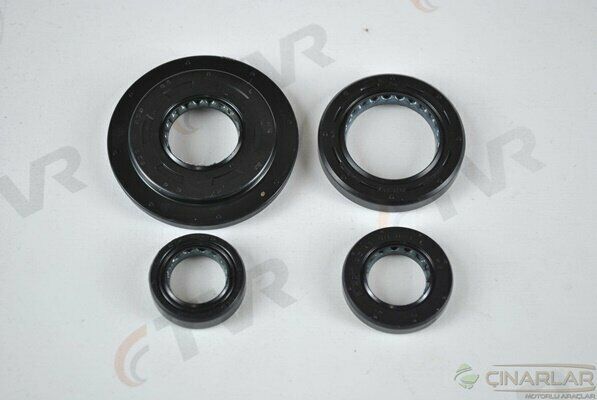 SPACY 110 KEÇE TAKIMI OEM