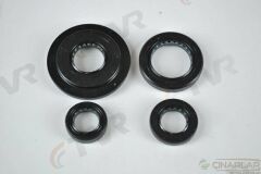 SPACY 110 KEÇE TAKIMI OEM