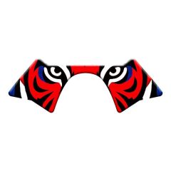 CF MOTO 250 SR 2020 - 2024 UYUMLU MESNET PAD 011