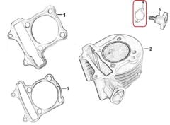 REGAL RAPTOR M210 Tansiyoner Contası