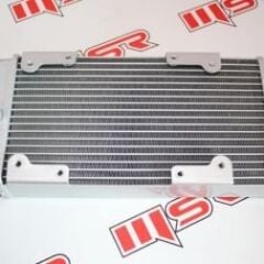 REGAL RAPTOR DD350E-6 / MR DESTRO 350 RADYATÖR