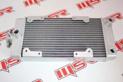 REGAL RAPTOR DD350E-6 / MR DESTRO 350 RADYATÖR