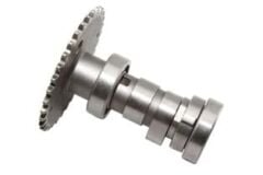 PANZER.EKSANTRIK KAM ORJ.-sct125