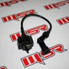 REGAL RAPTOR 250 ATEŞLEME BOBİNİ