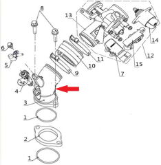 REGAL RAPTOR F320 Manifolt