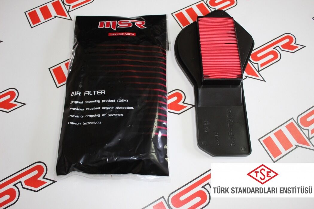 CYGNUS L HAVA FİLTRESİ  (TSE)