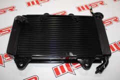 PULSAR RS 200 RADYATÖR A