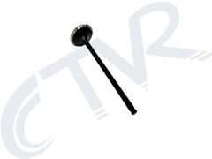 CF MOTO 250SR EGZOZ VALFİ ORJ 0DM0-022002-00001