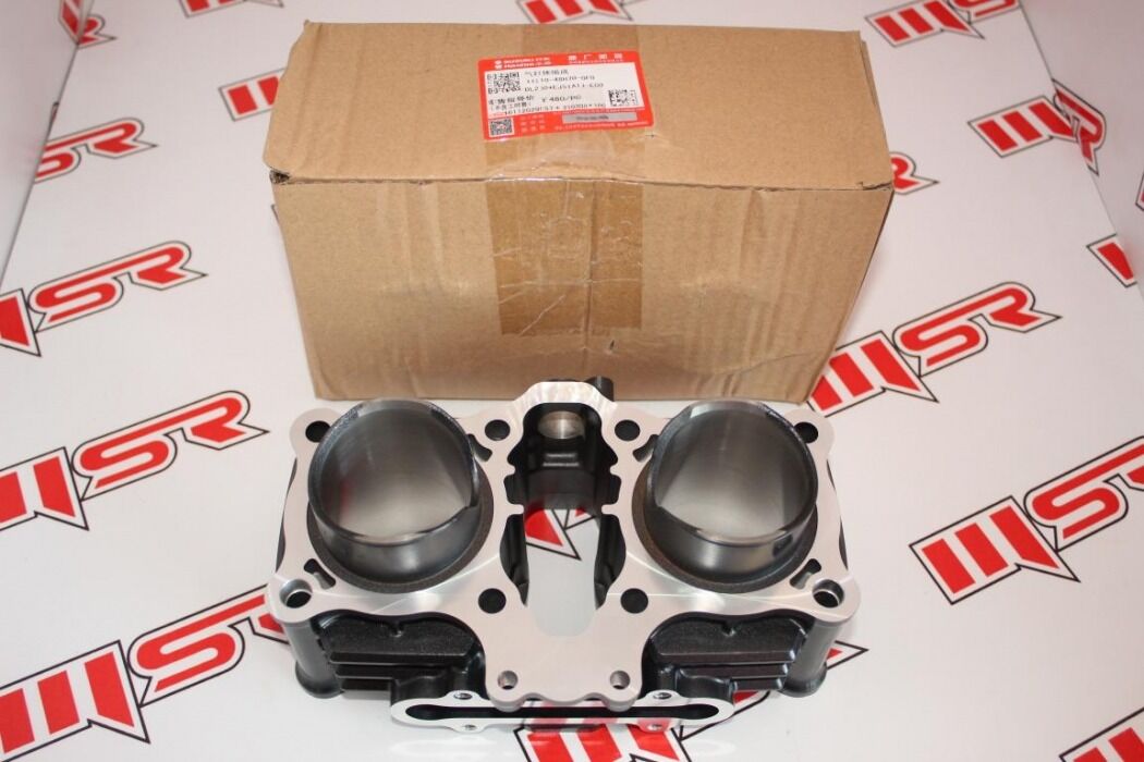 SUZUKI GSXR 250/GW İNAZUMA/V-STROM 250 SİLİNDİR