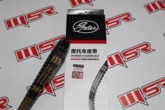 CYGNUS L 100 KAYIŞ GATES