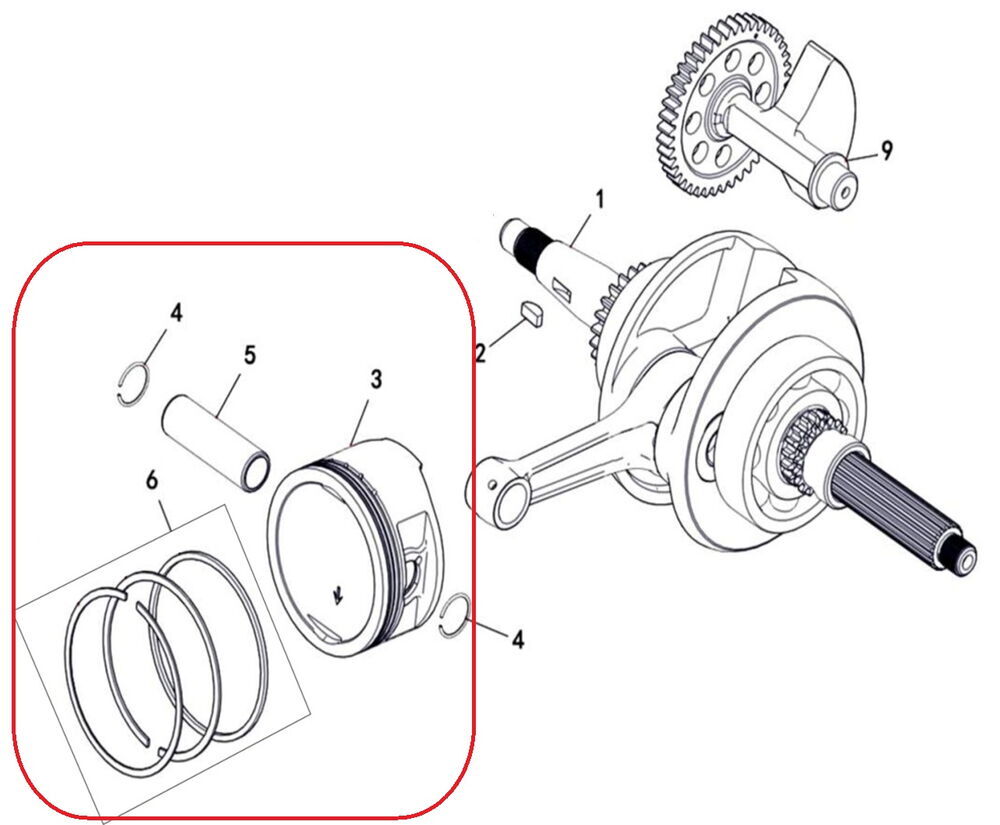 REGAL RAPTOR F320 Piston Segman Set