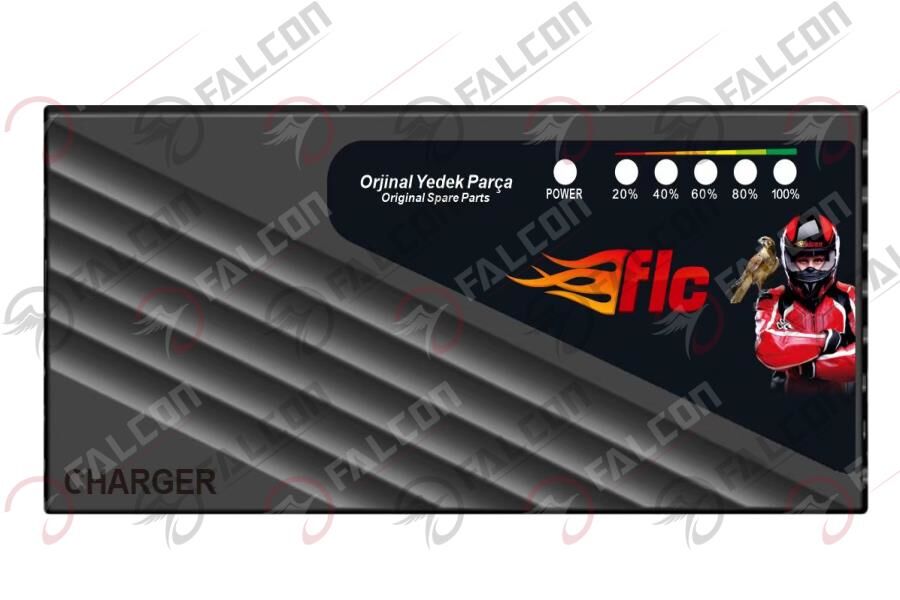 Falcon Şarj Aleti 48v 20ah (oranlı)
