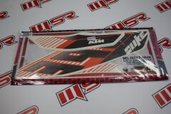 KTM DUKE STICKER