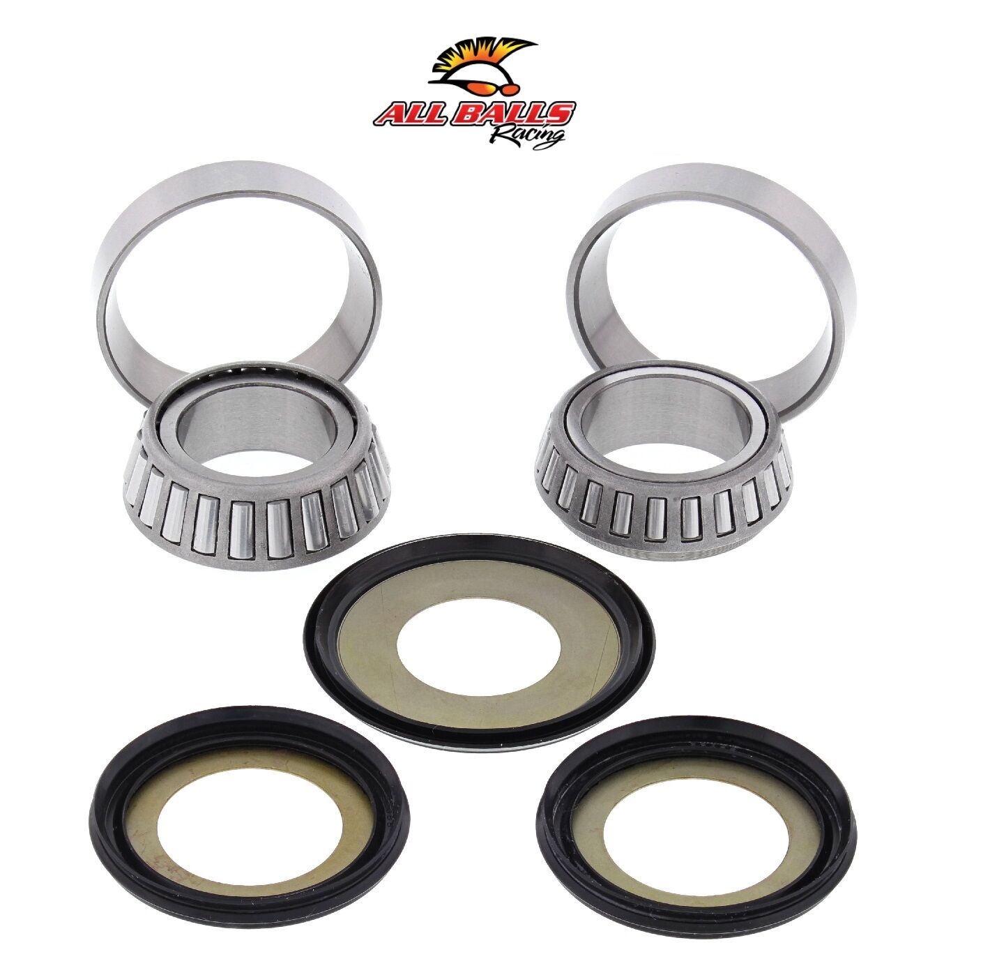 Yamaha WR 250 RX ABR GİDON RULMAN TAKIMI