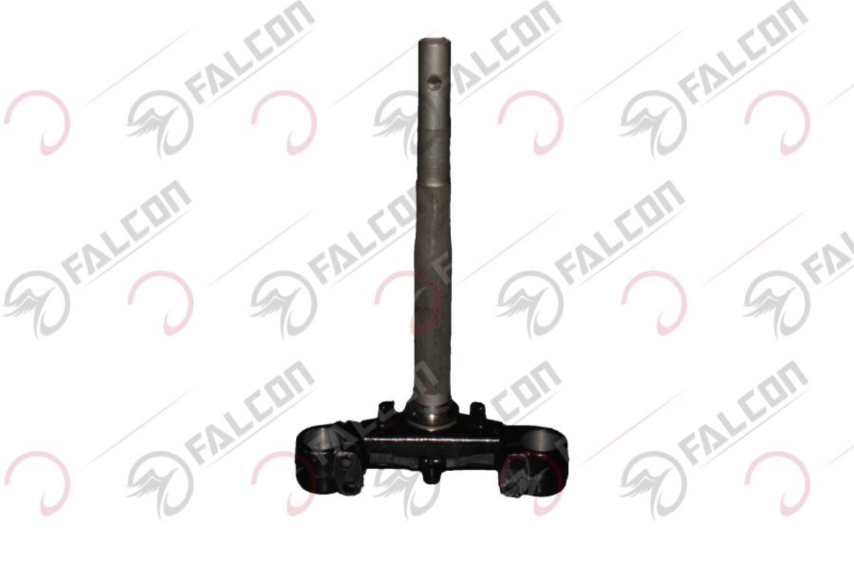 PLATİN (ÖN MAŞA)-DOLPHIN 2020 Falcon