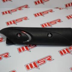 FIZY 125 EGZOS KORUMA