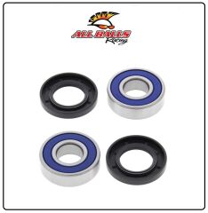 Yamaha XT 660 Z Tenere ABR TEKERLEK RULMAN TAKIMI