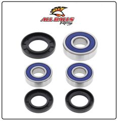 Yamaha XT 660 Z Tenere ABR TEKERLEK RULMAN TAKIMI