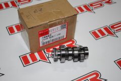 KUBA ZENZERO EKSANTRİK