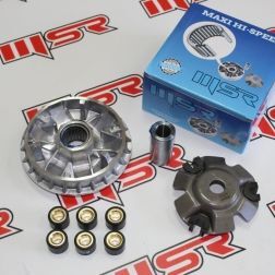 FIZY 125 ÖN VARYATÖR SETİ(BİLYALI) 18.2 GRAM