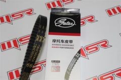 KUBA ZENZERO KAYIŞ GATES