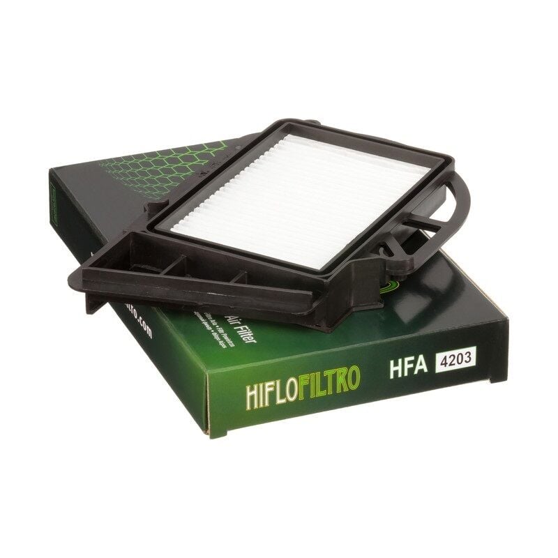 HIFLO VARYATÖR FİLTRESİ HFA4203