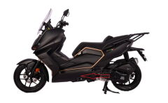REGAL RAPTOR Xsuv 250 Marşbiyel Sol Mat Siyah