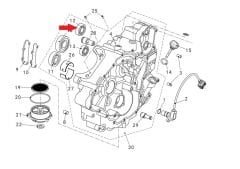 REGAL RAPTOR Promax 650L Sol Blok Rulman 6203