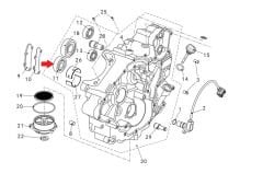 REGAL RAPTOR Promax 650L Sol Blok Rulman 6303