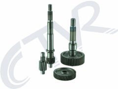 SPACY 110 ŞANZUMAN DİŞLİ SETİ OEM