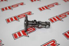 BAJAJ DOMİNAR 250  EKSANTRİK DIŞ A