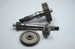FİZY ŞANZUMAN DİŞLİ SETİ OEM