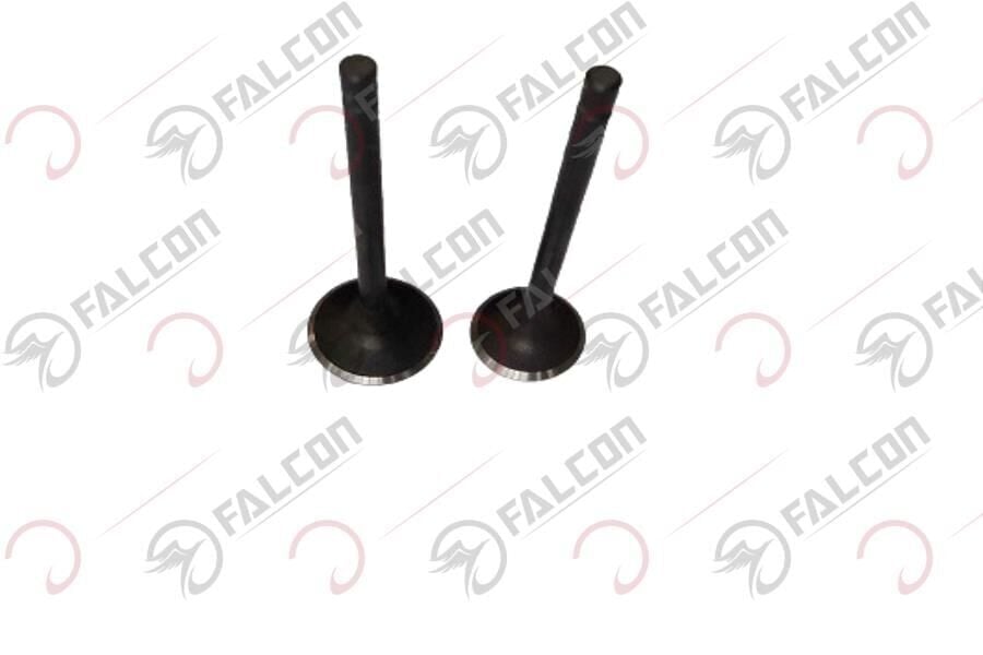 EMME EGZOZ SİBOBU-ATTACK 100-5 Falcon