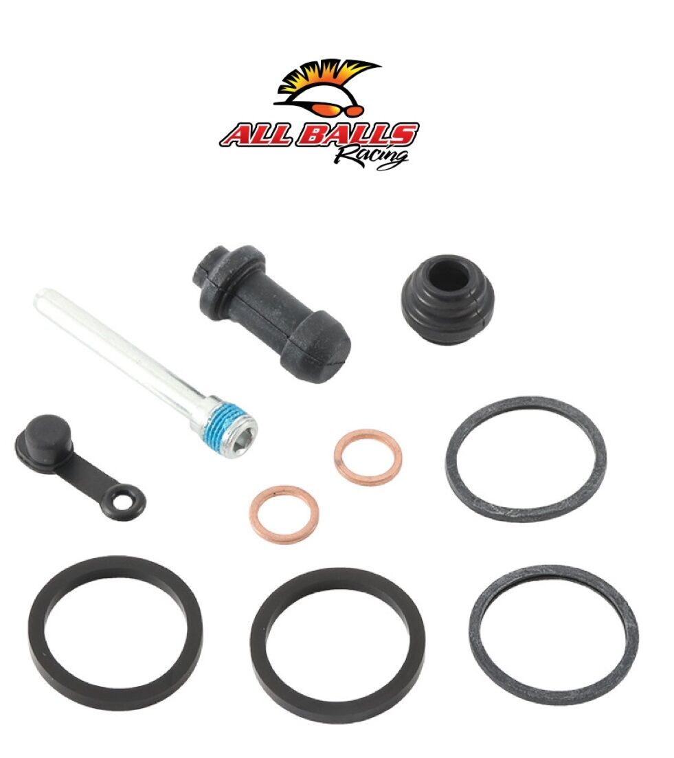 Suzuki GW INAZUMA F 250 ABR FREN KALİPER YENİLEME KİTİ