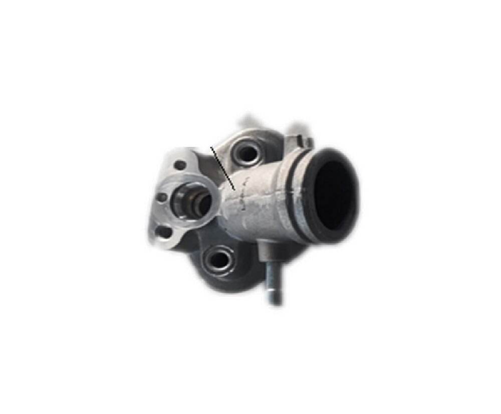 REGAL RAPTOR Max 125 Manifolt