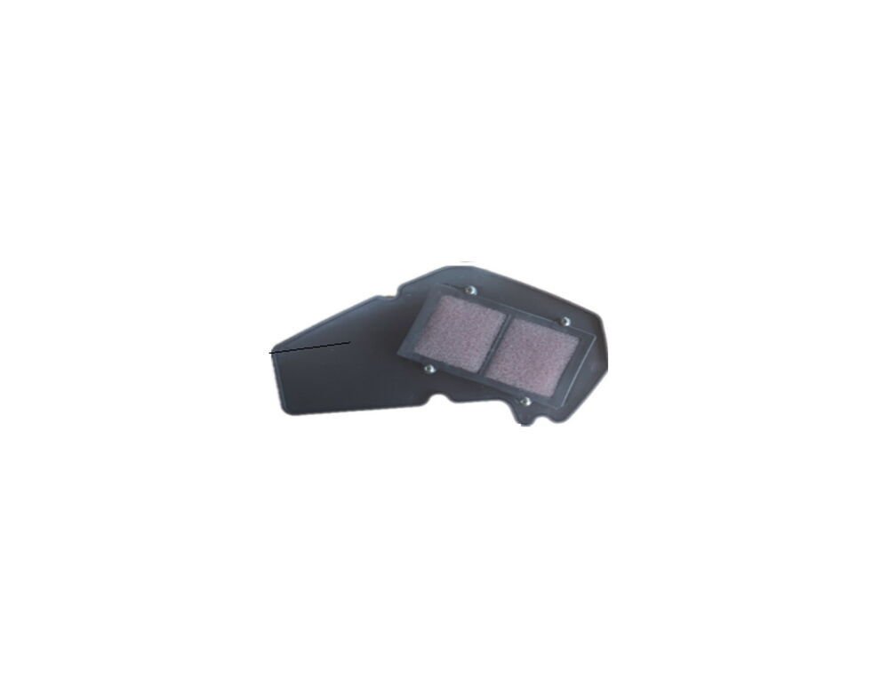 REGAL RAPTOR Max 125 Hava Filtresi